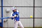 Softball vs Babson  Wheaton College Softball vs Babson College. - Photo by Keith Nordstrom : Wheaton, Softball, Babson, NEWMAC